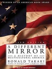 A Different Mirror