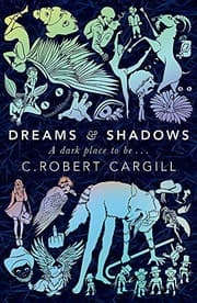 Dreams and shadows