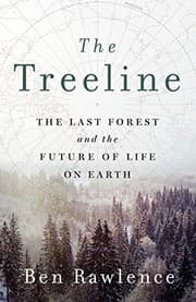 The Treeline