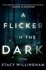 A Flicker in the Dark