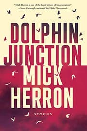 Dolphin Junction