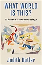 What World Is This? - a Pandemic Phenomenology