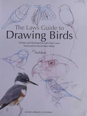 The Laws guide to drawing birds
