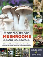 How to grow mushrooms from scratch