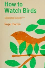 How to watch birds