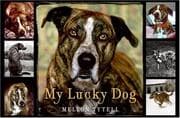 My lucky dog
