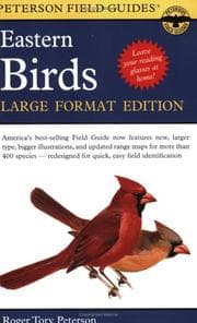 Eastern Birds
