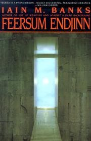 Feersum endjinn
