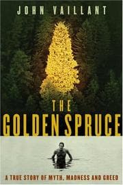 The Golden Spruce