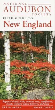 National Audubon Society field guide to New England
