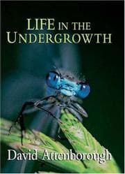 Life in the Undergrowth