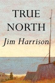 True north