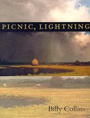 Picnic, lightning