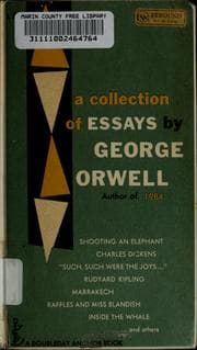 A collection of essays