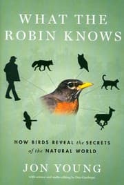 What the robin knows