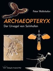 Archaeopteryx