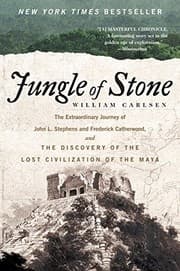 Jungle of stone