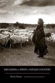 Dreaming of sheep in Navajo country