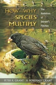 How and why species multiply