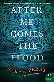 After me comes the flood