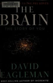 The brain