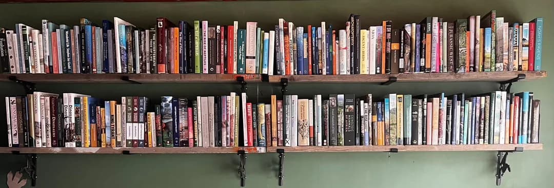 Uploaded bookshelf