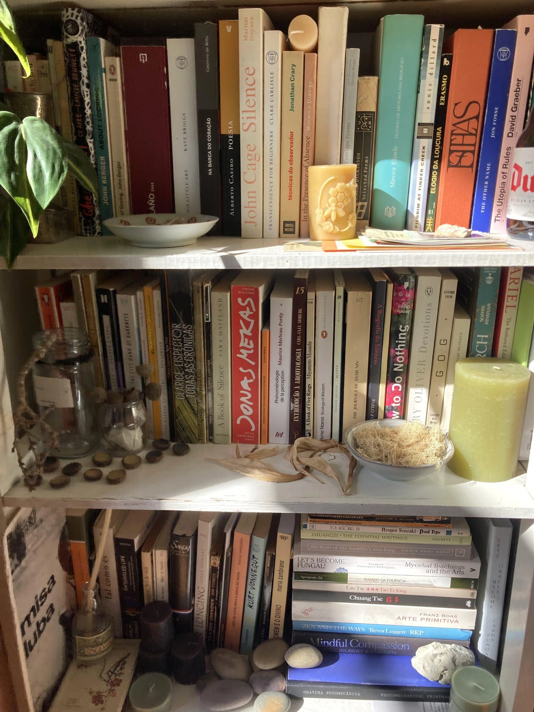 Uploaded bookshelf