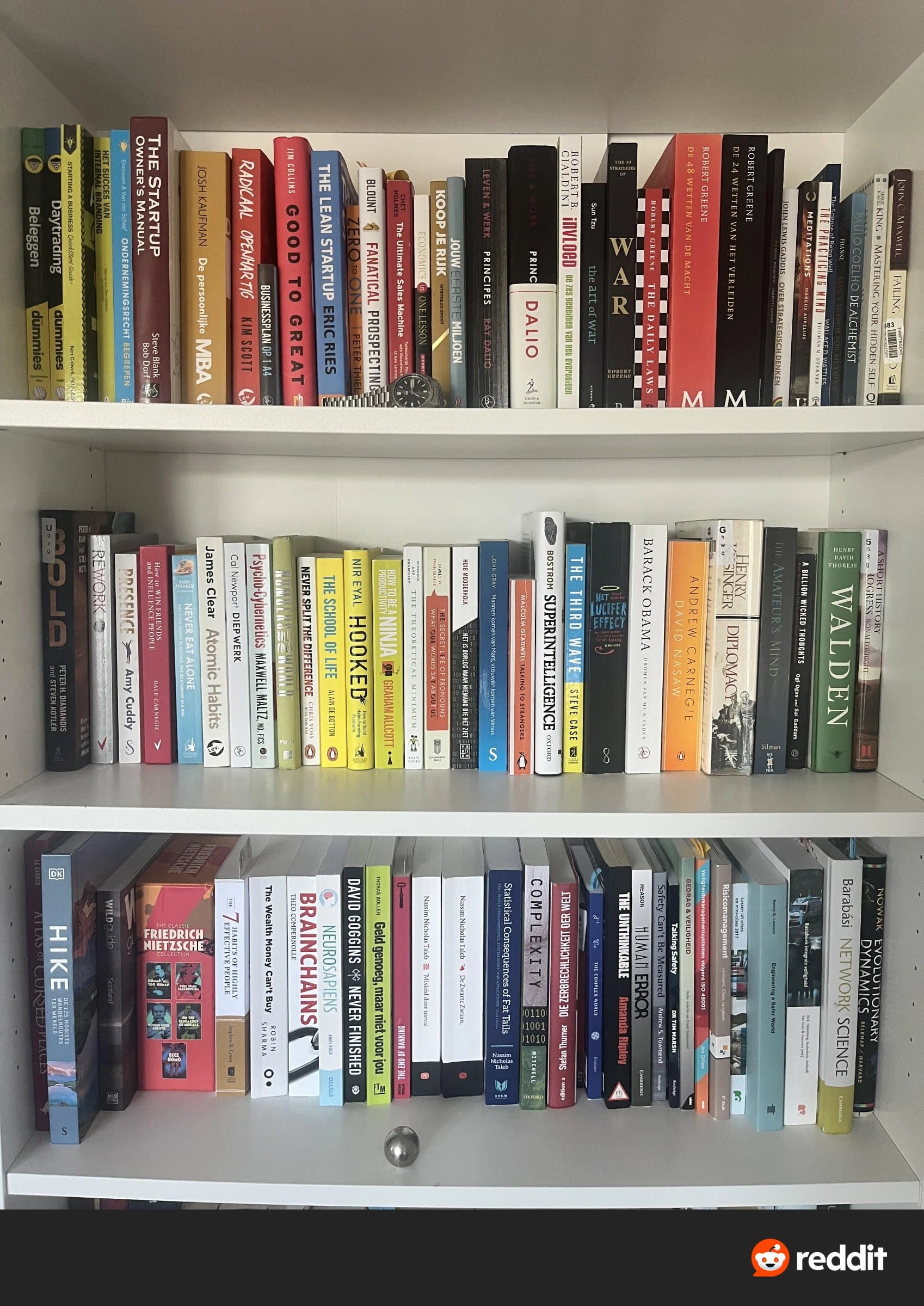 Shelf