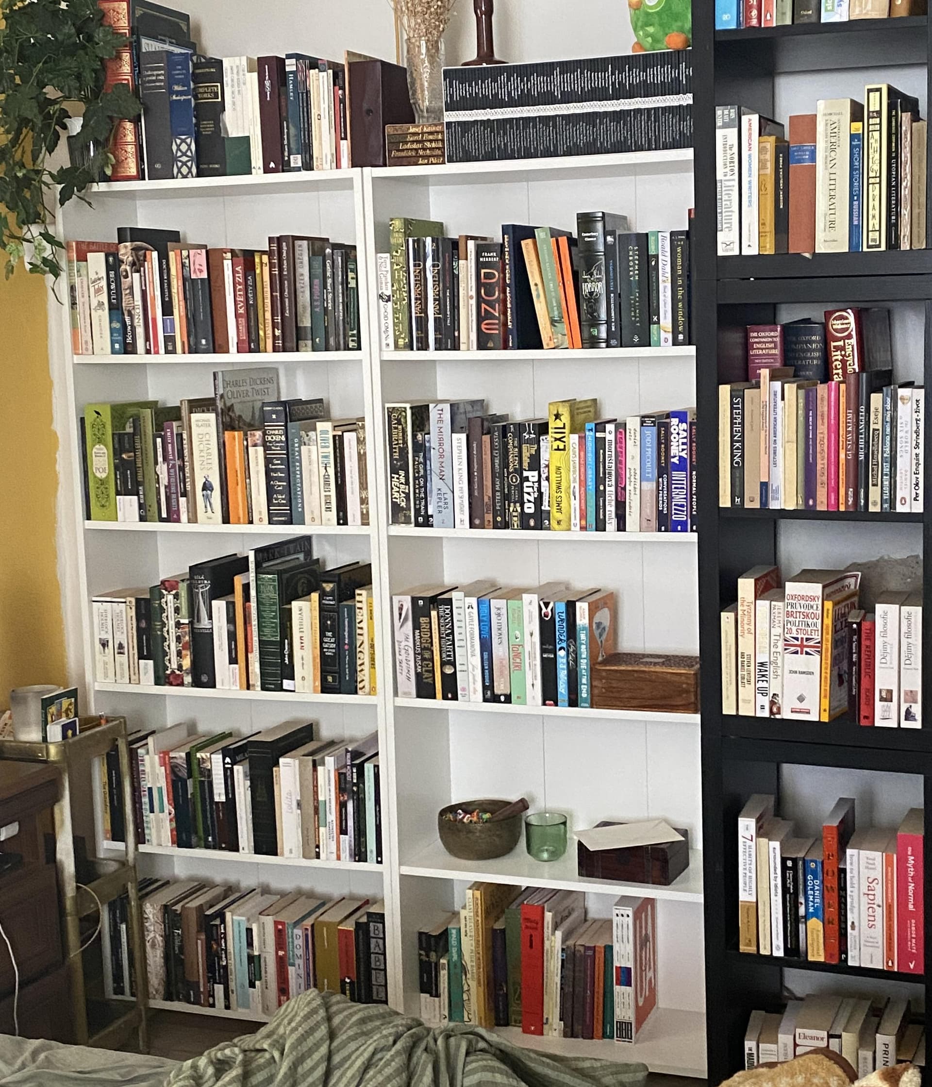 Uploaded bookshelf