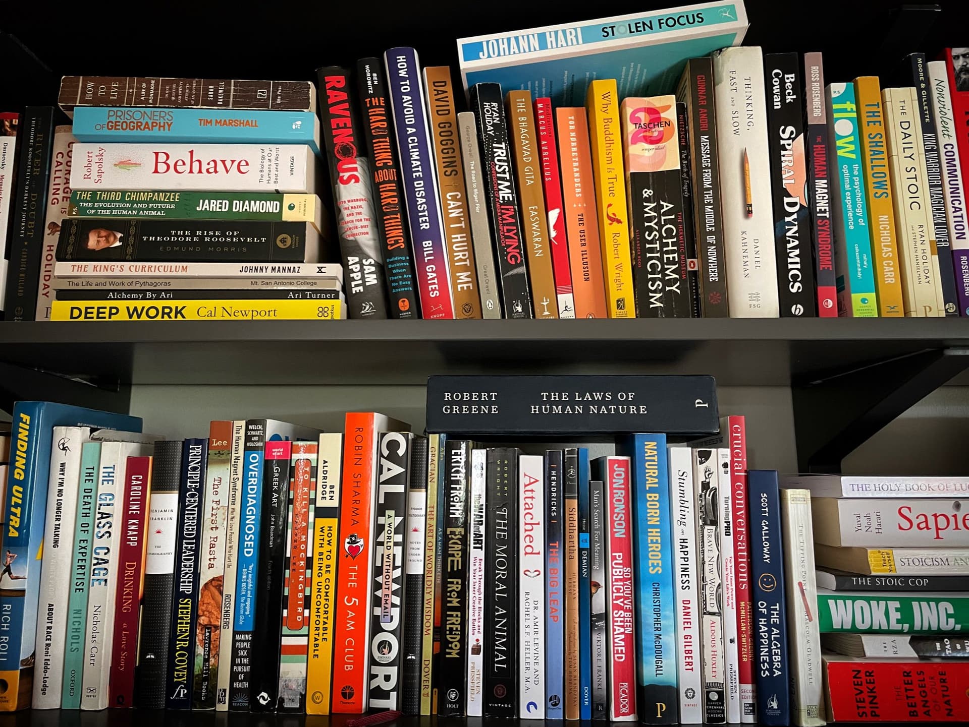 Uploaded bookshelf