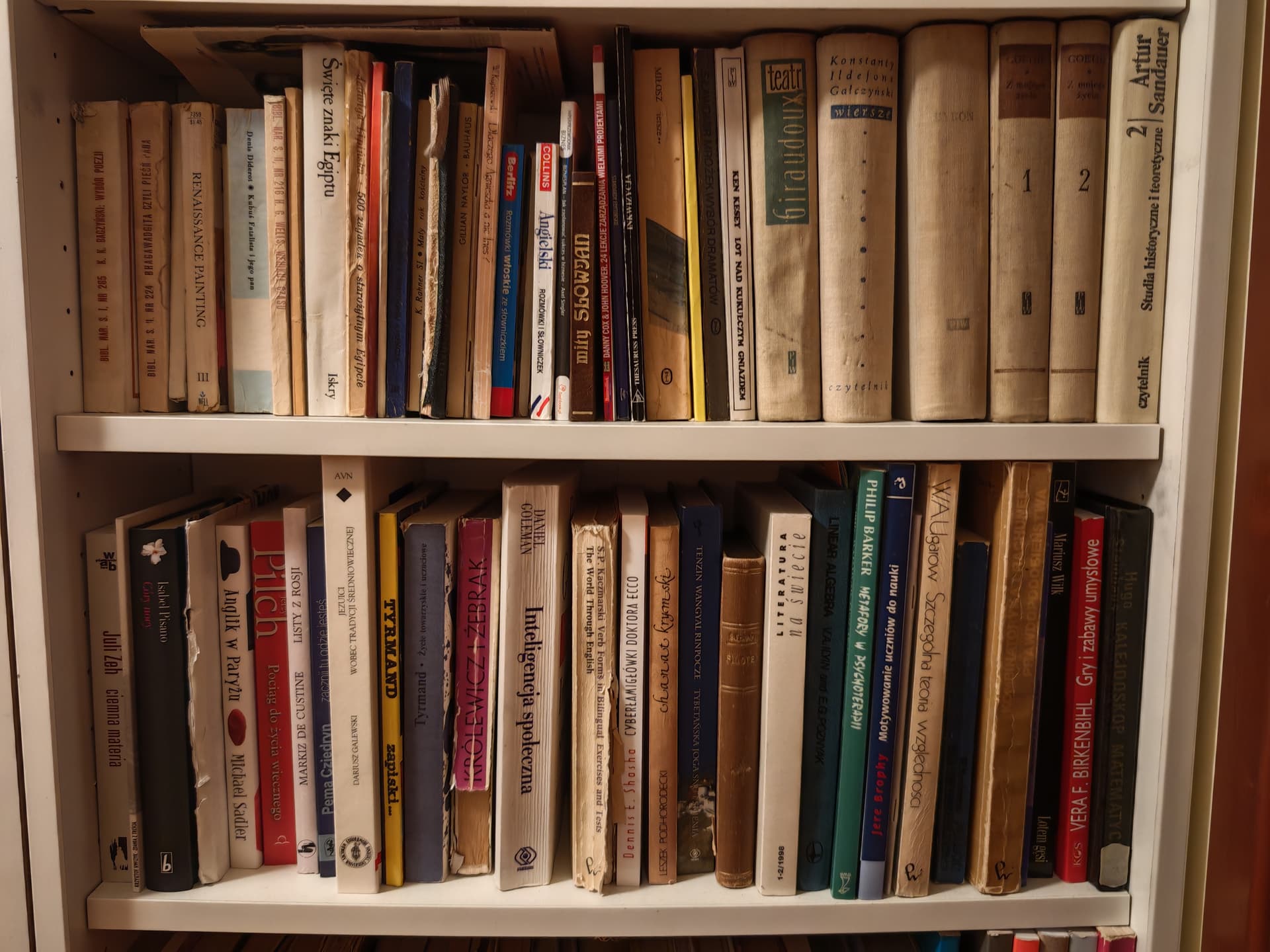 Uploaded bookshelf