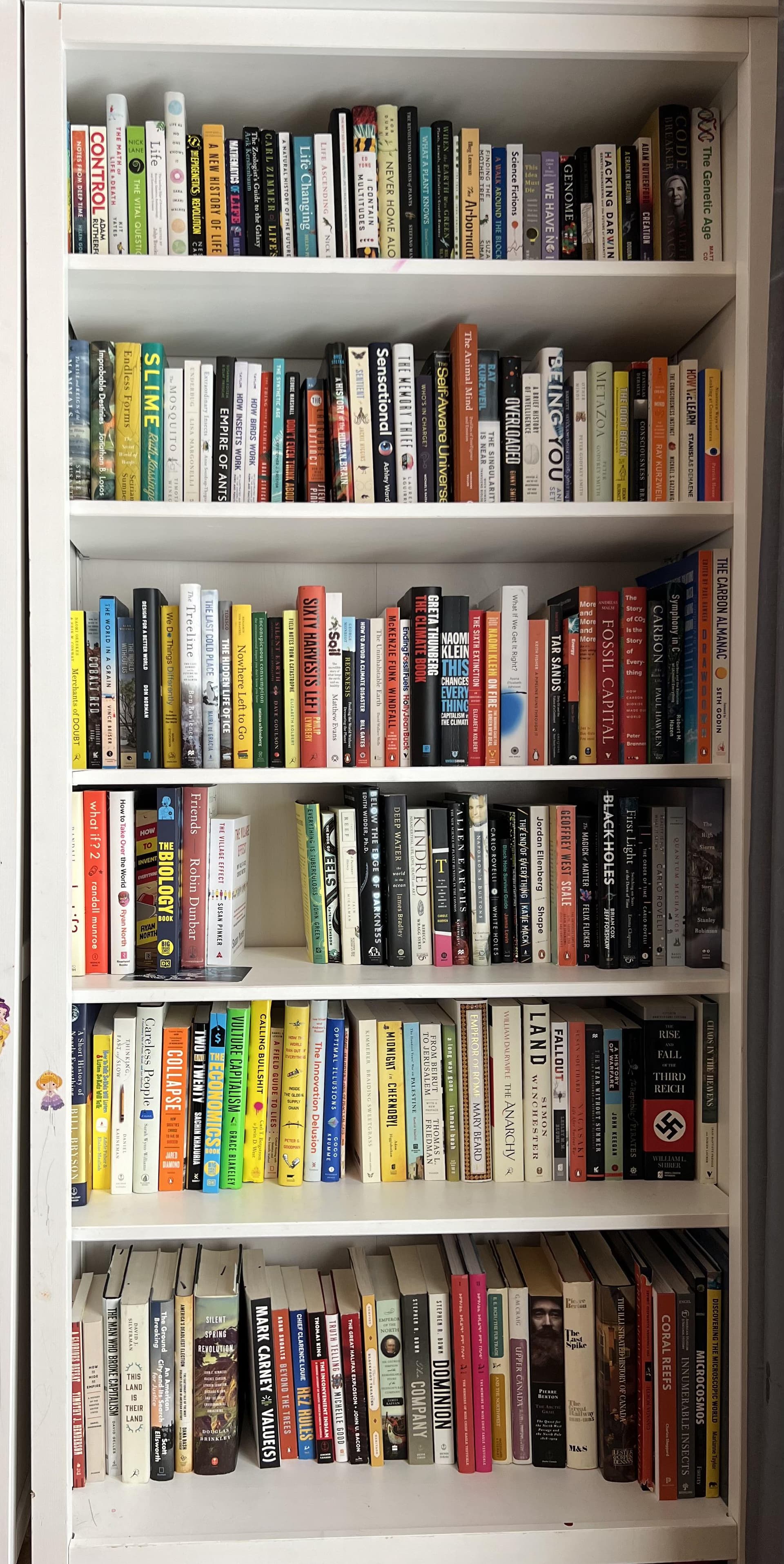 Uploaded bookshelf