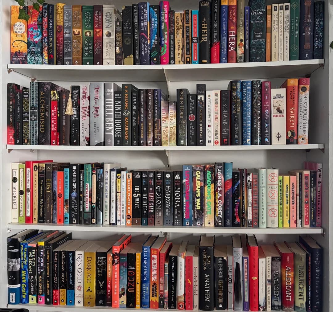 Shelf
