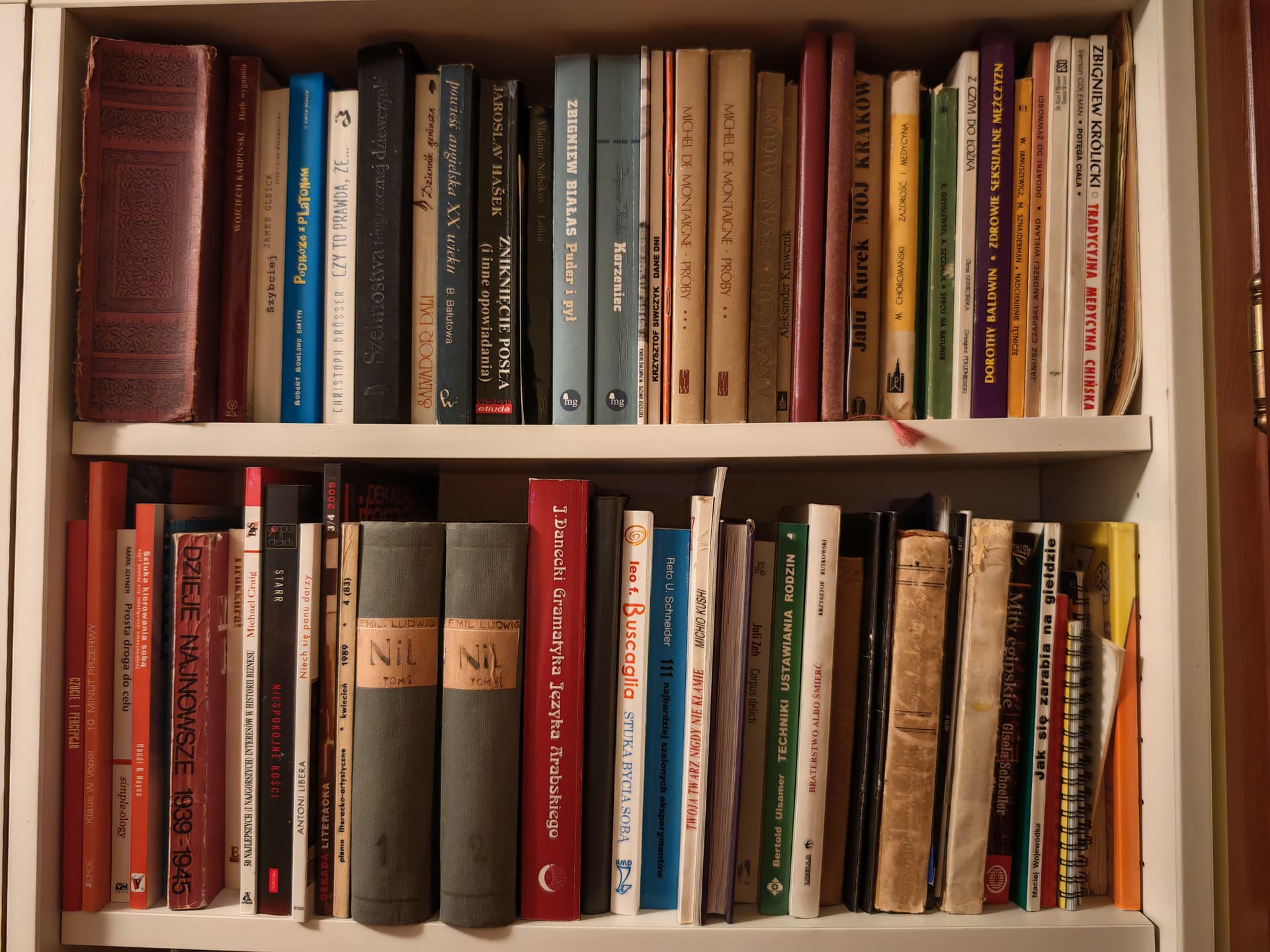 Uploaded bookshelf