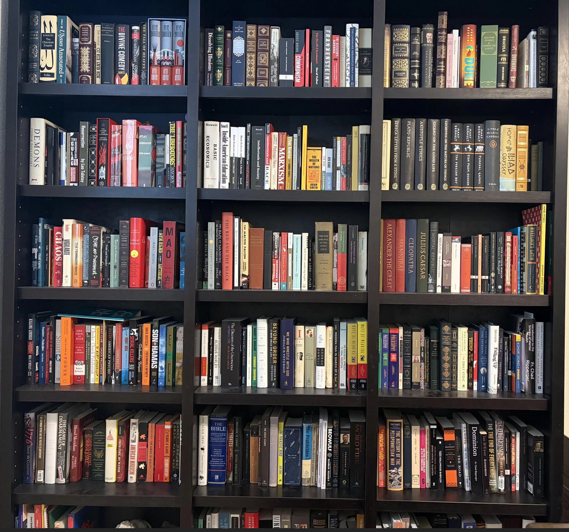 Shelf