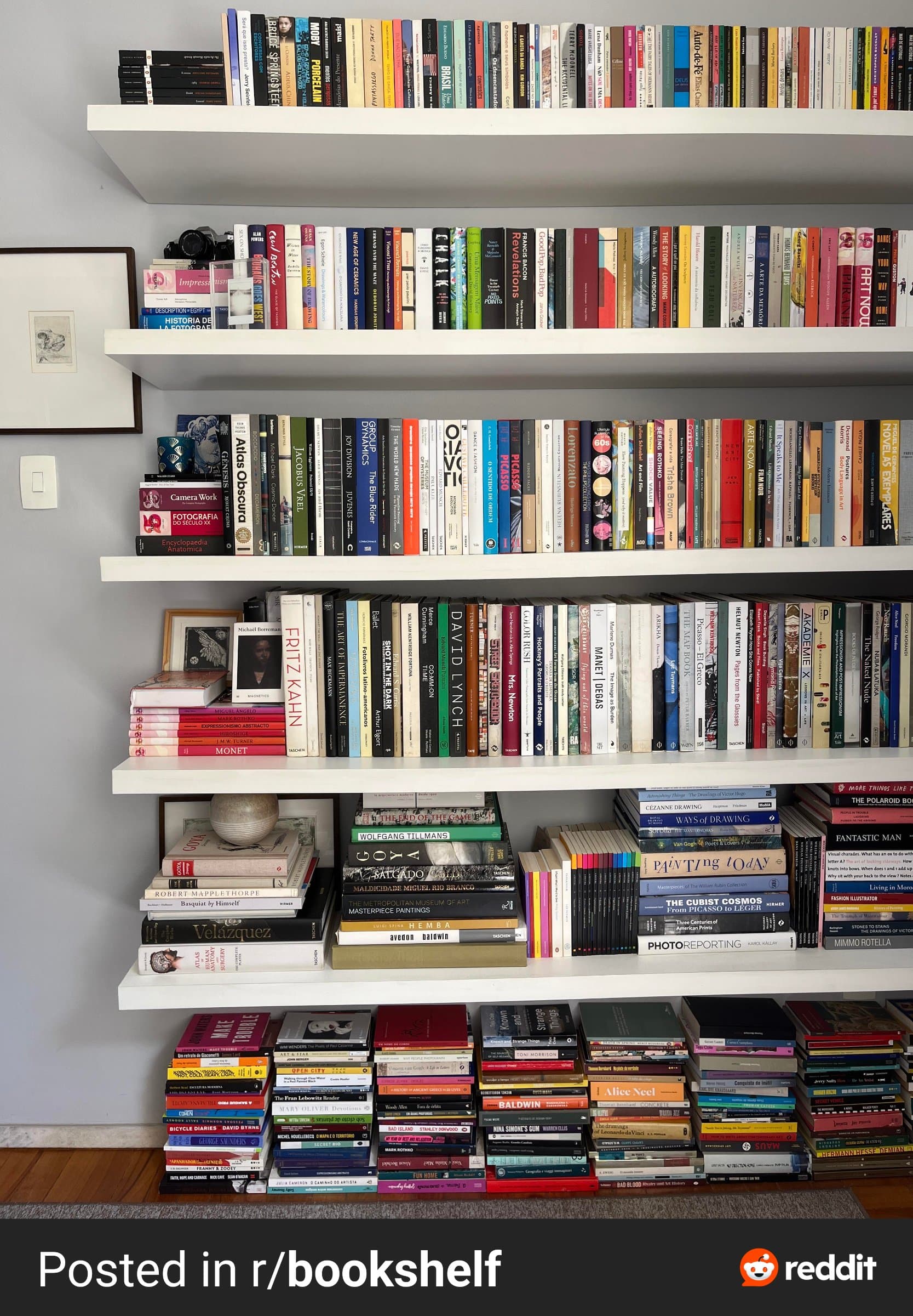 Shelf