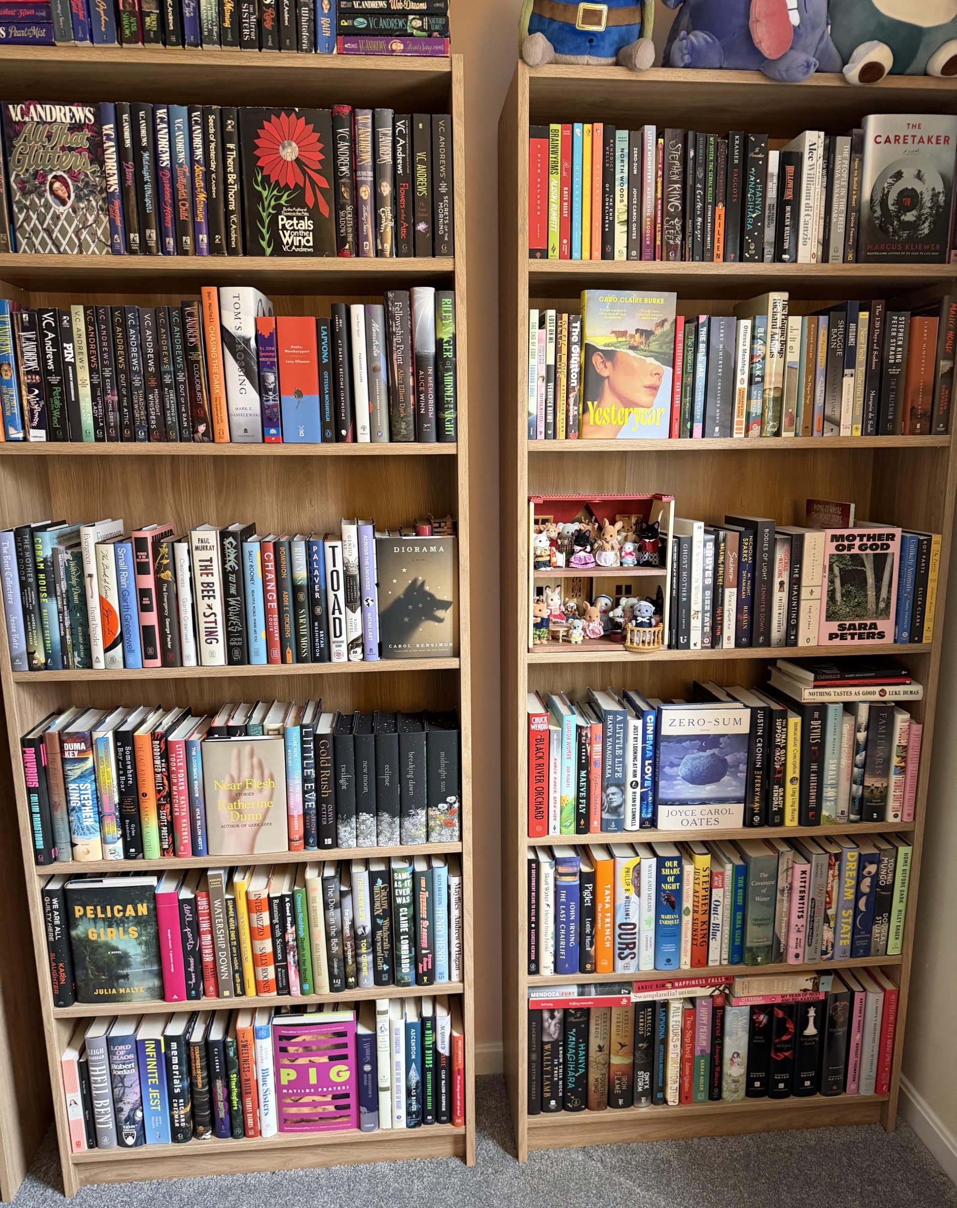 Uploaded bookshelf