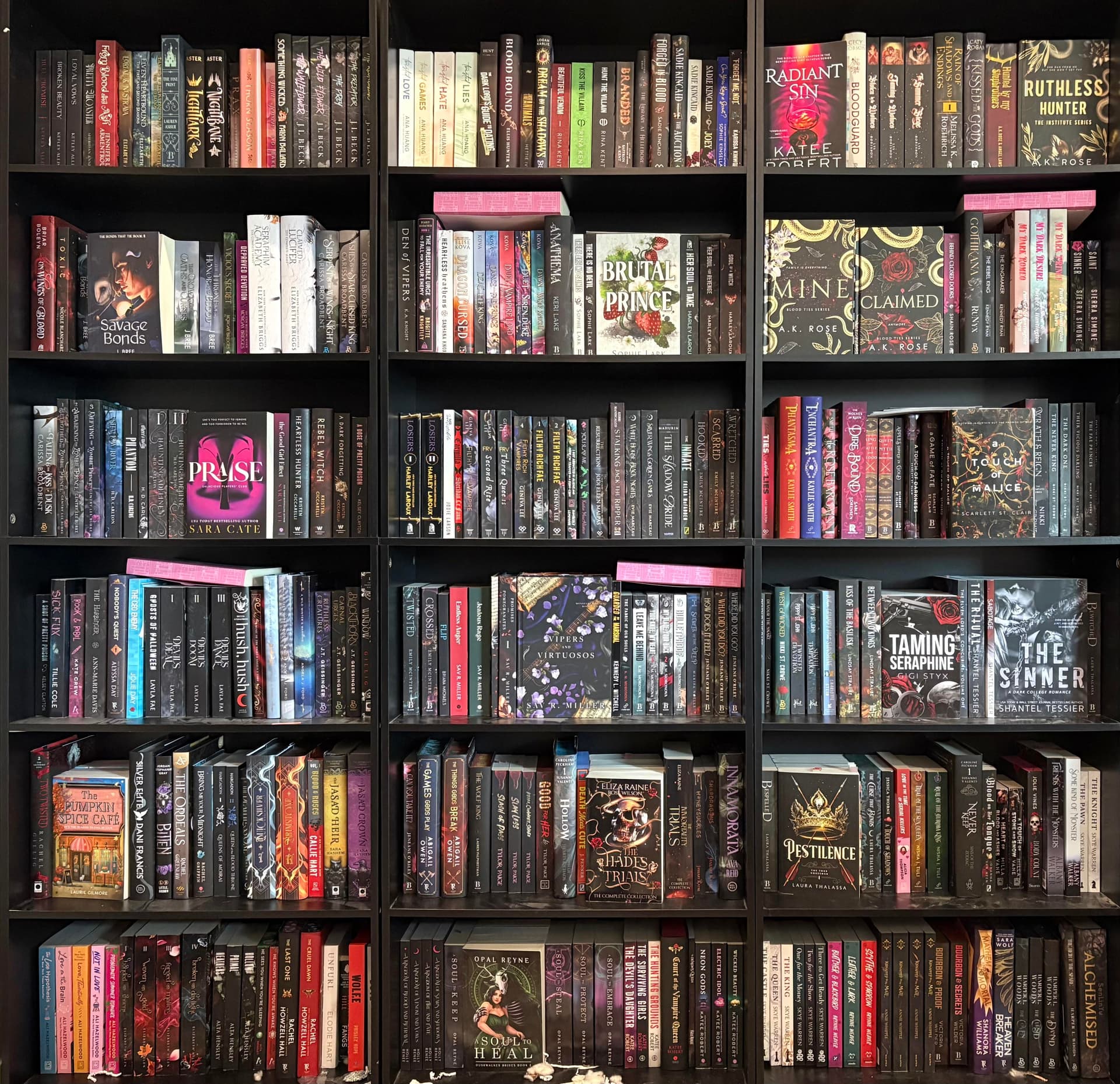 Uploaded bookshelf