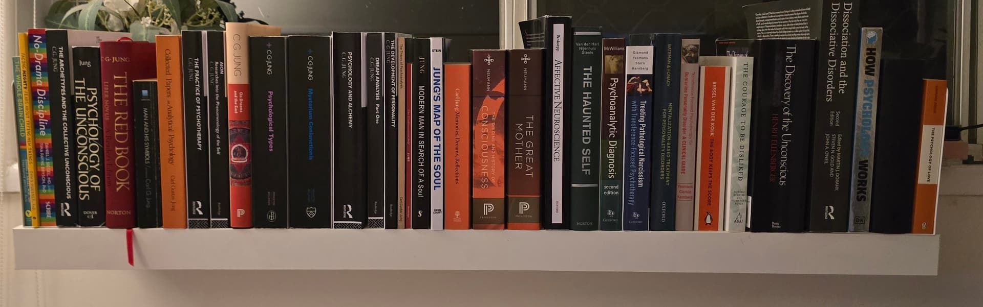 Uploaded bookshelf