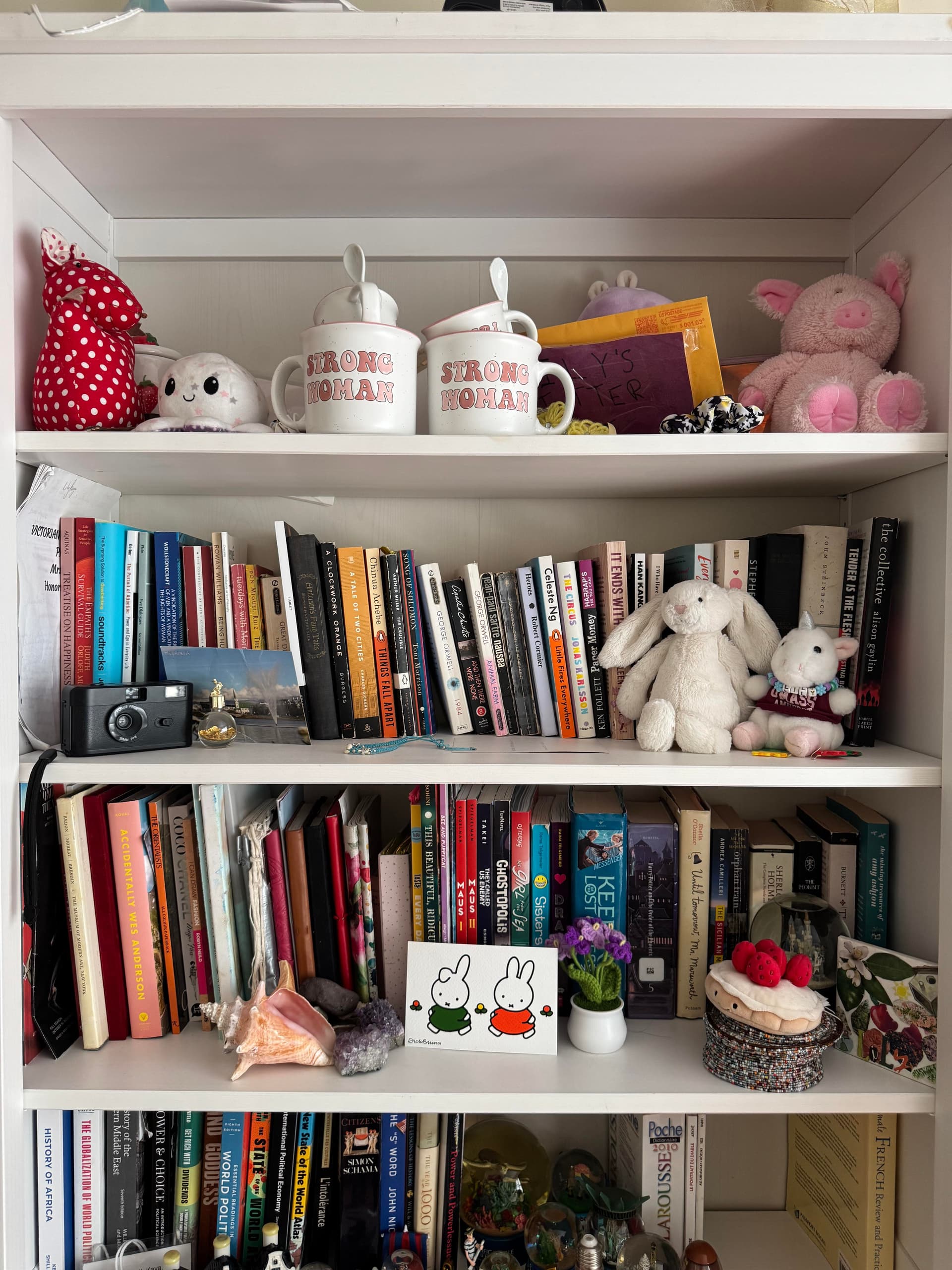 Uploaded bookshelf