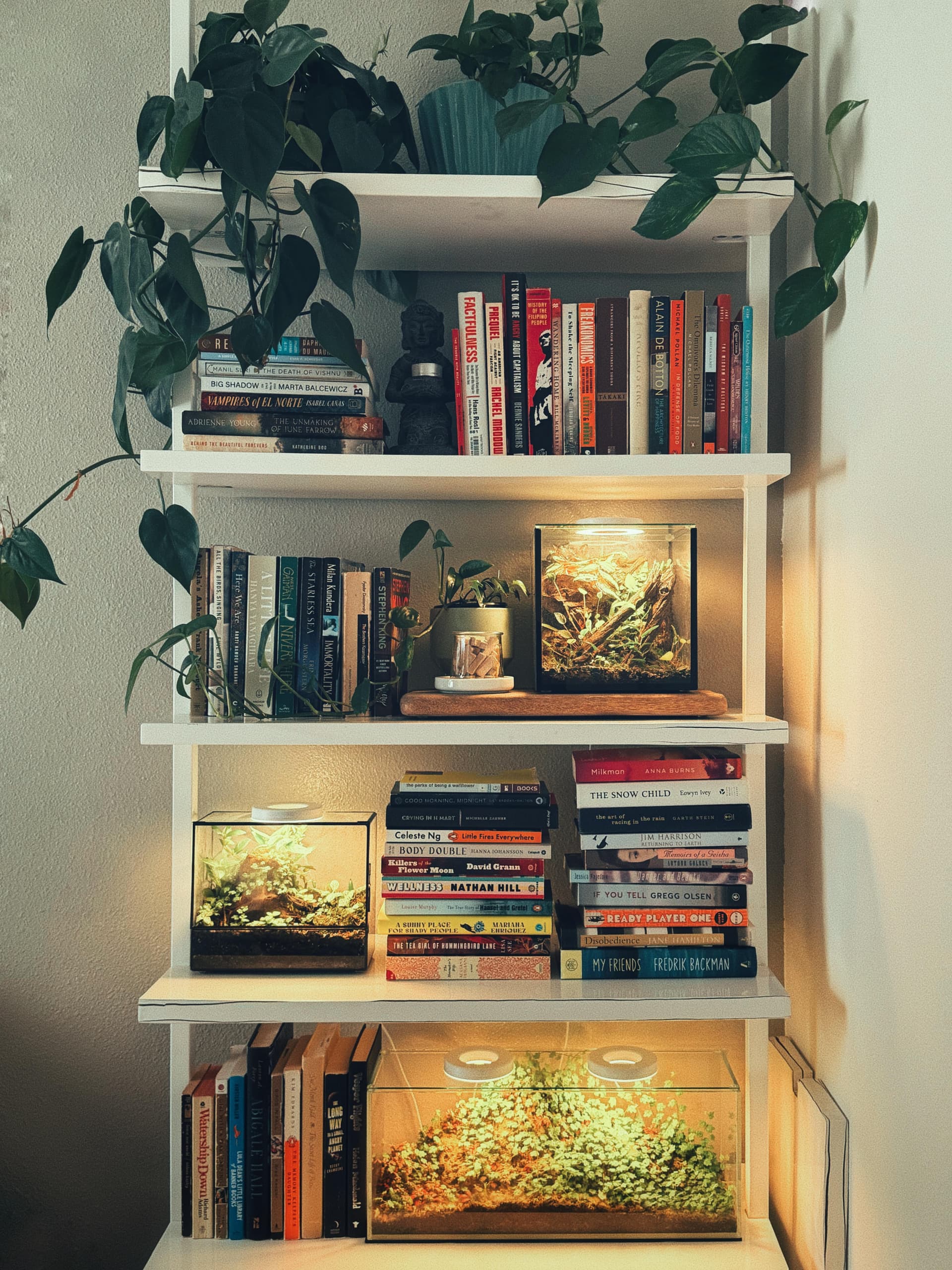 Uploaded bookshelf