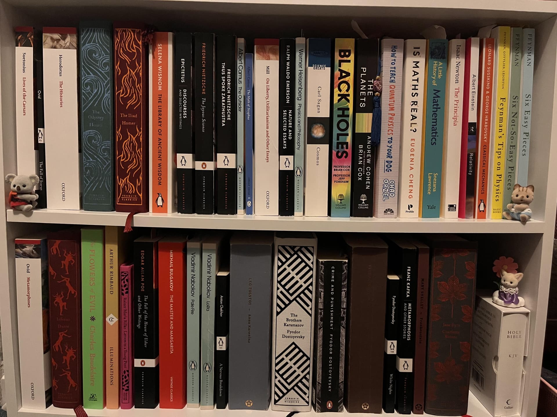 Uploaded bookshelf