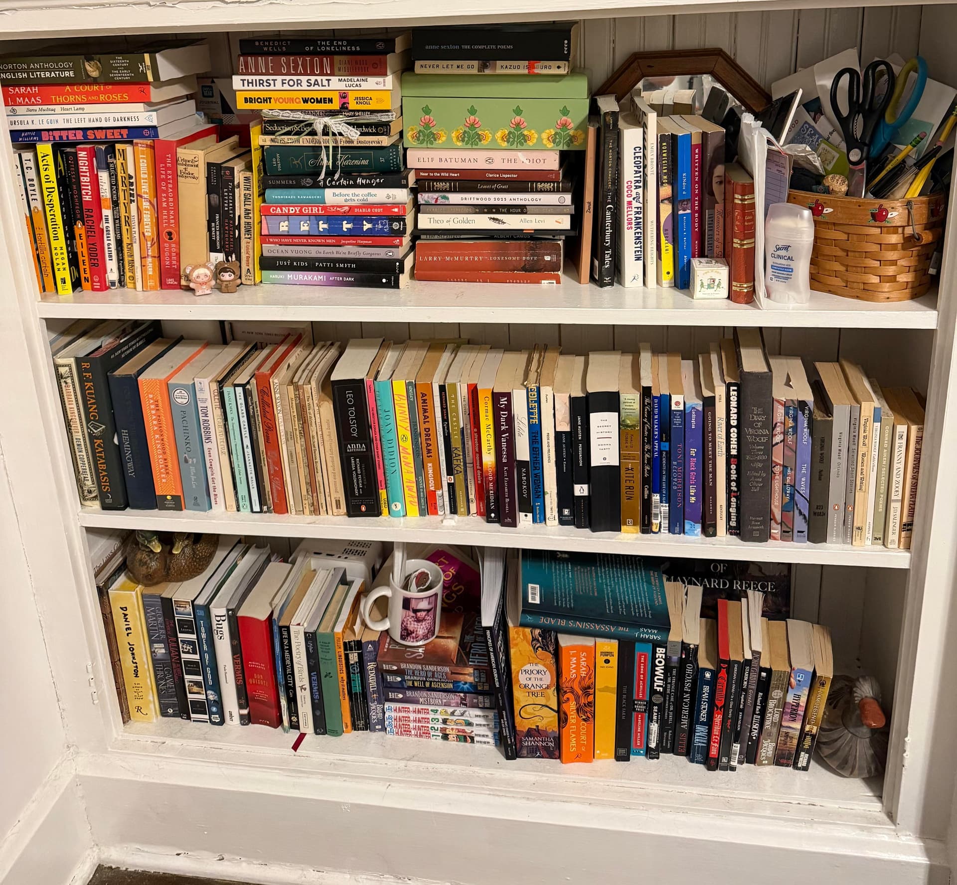 Uploaded bookshelf