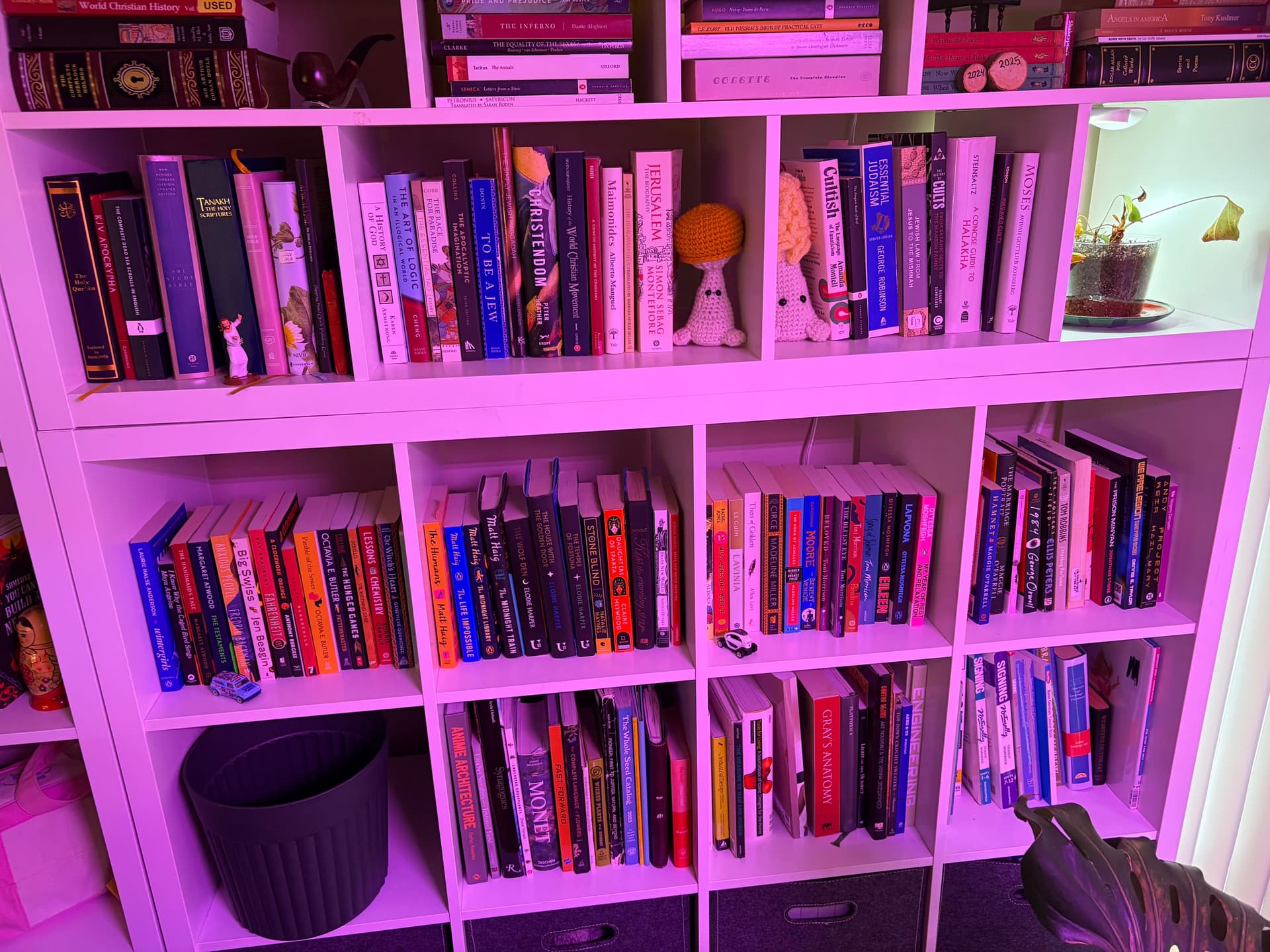 Uploaded bookshelf