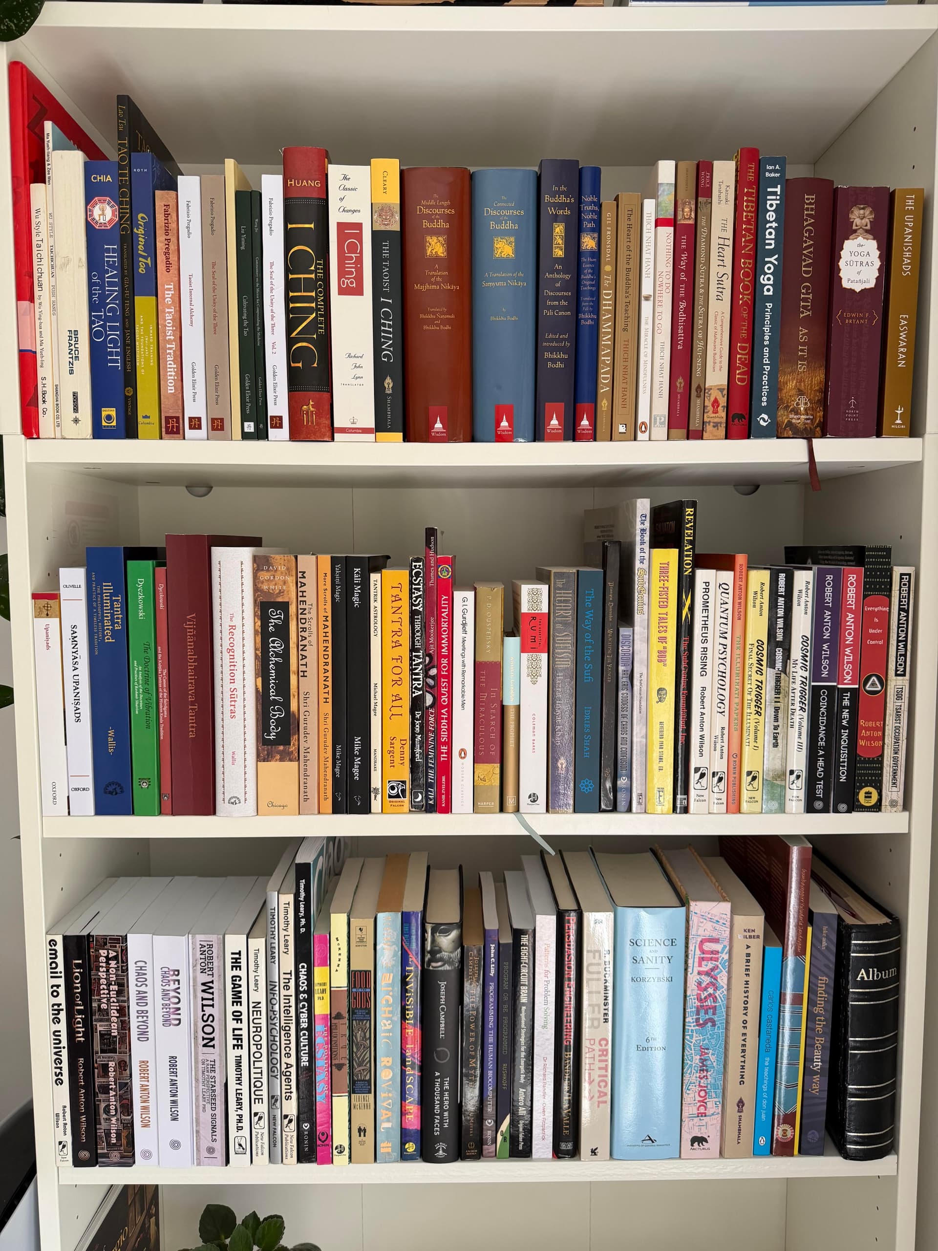 Uploaded bookshelf