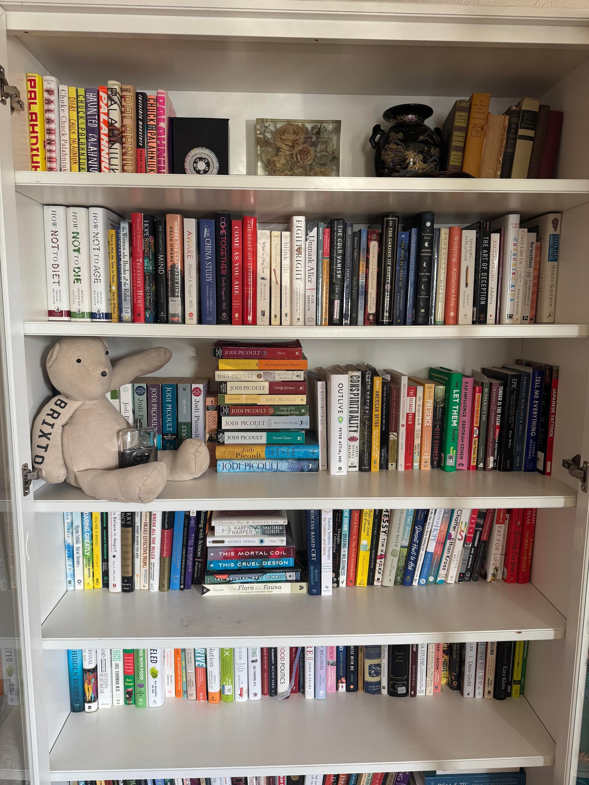 Shelf