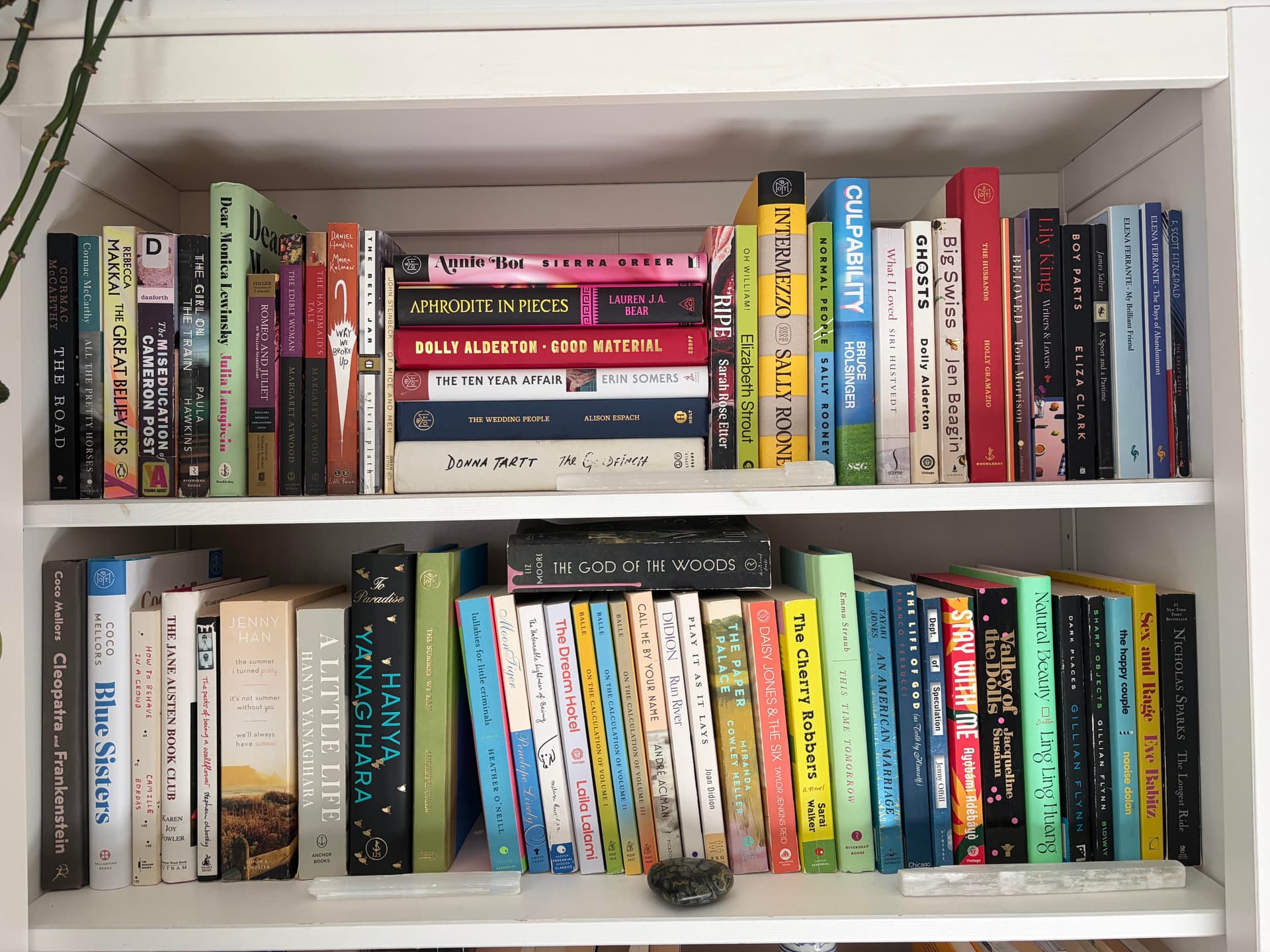 Bookshelf collection