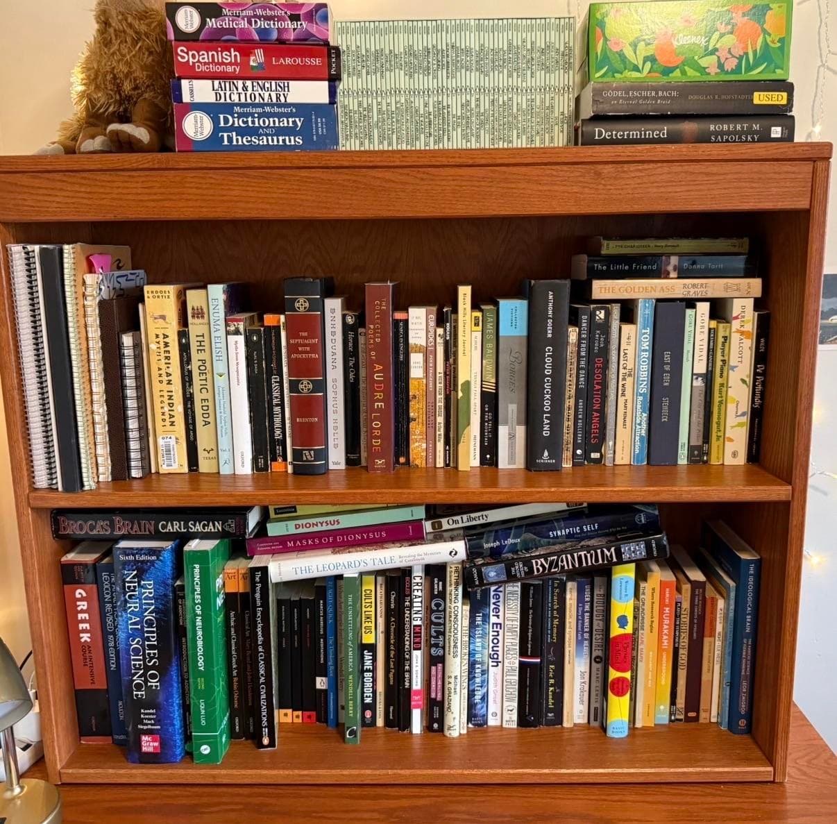 Uploaded bookshelf