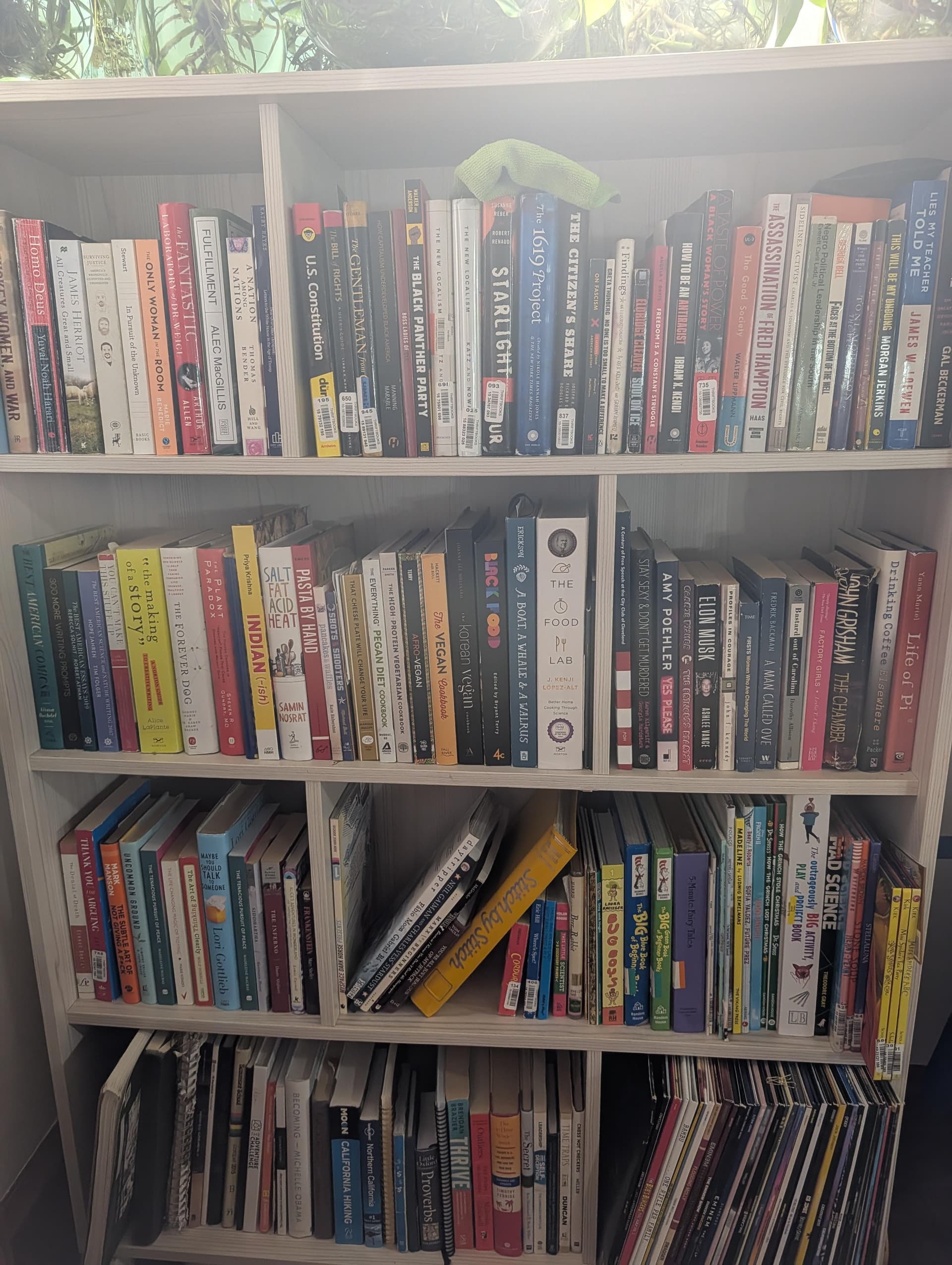 Bookshelf collection