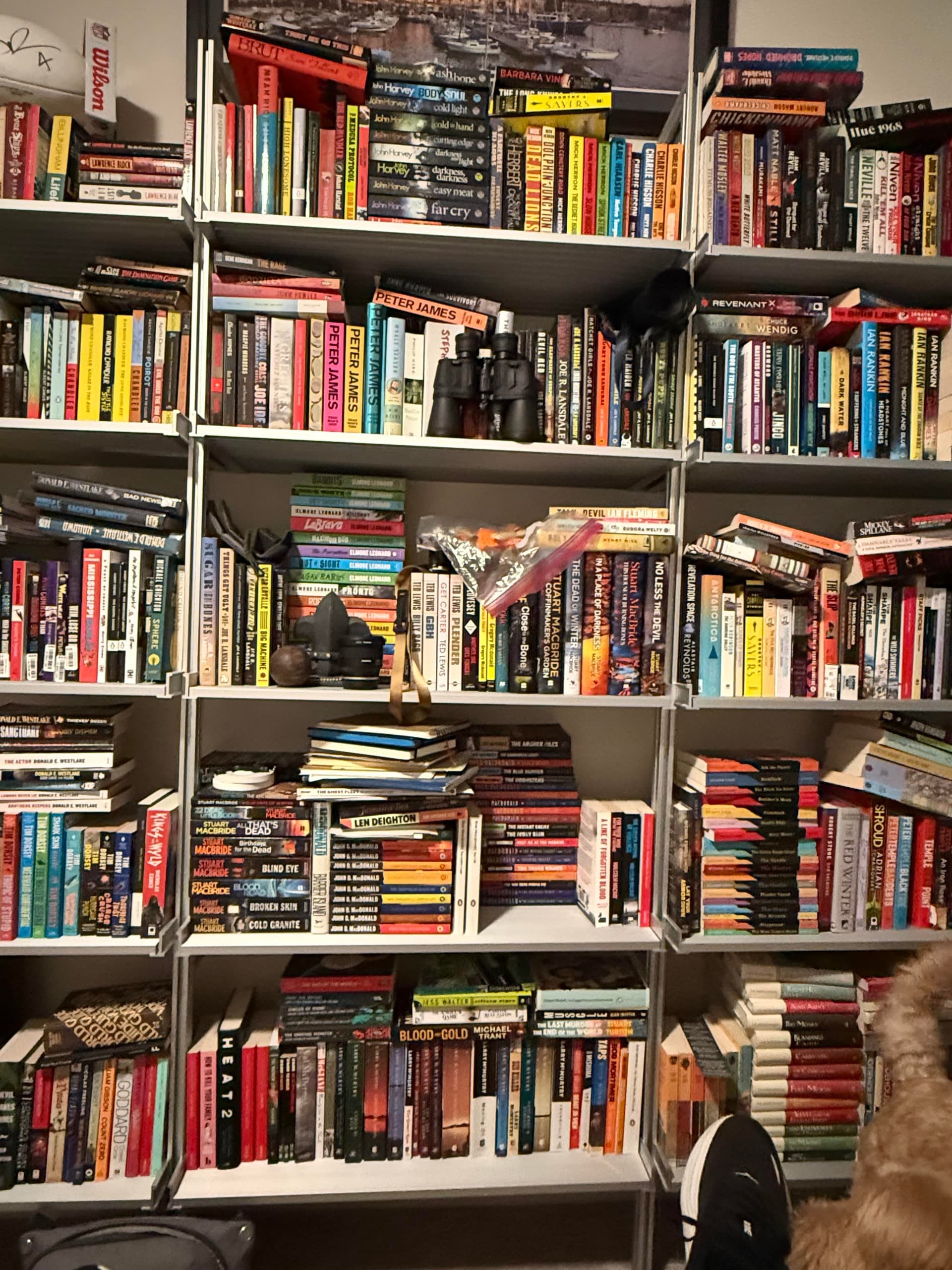 Uploaded bookshelf